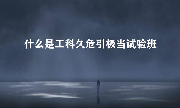 什么是工科久危引极当试验班