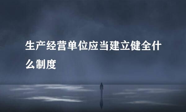 生产经营单位应当建立健全什么制度