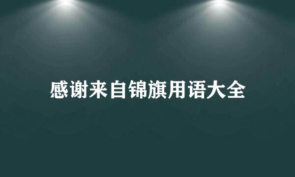 感谢来自锦旗用语大全
