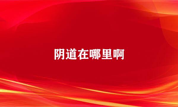 阴道在哪里啊