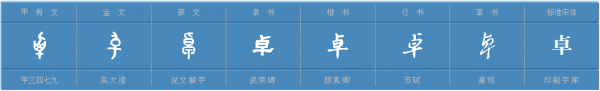卓 是什么意思