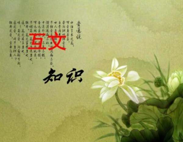 什么是来自互文?