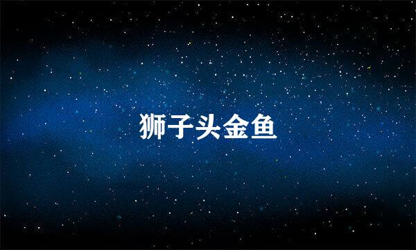 狮子头金鱼