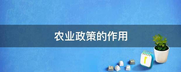 农业政策的作用