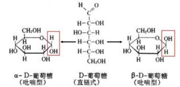 葡萄糖结构式?