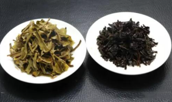生茶和熟茶的区别是什么?