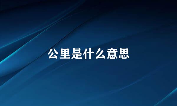 公里是什么意思