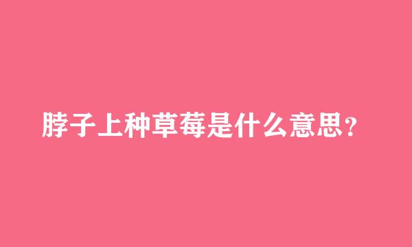 脖子上种草莓是什么意思？