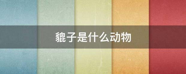 貔子是什么动物