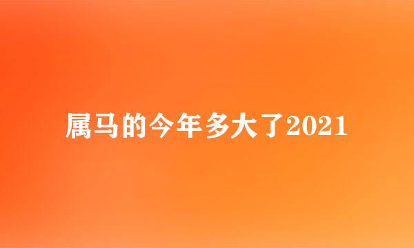 属马的今年多大了2021