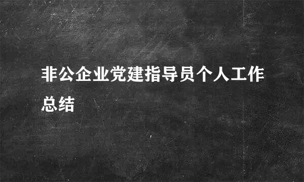 非公企业党建指导员个人工作总结