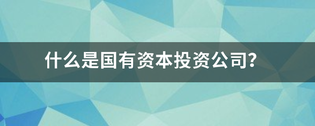 什么是国有资本投资公司？