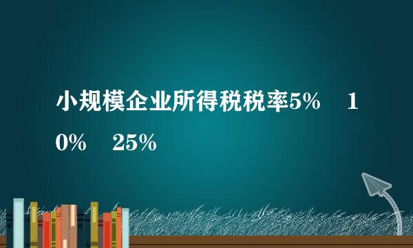 小规模企业所得税税率5% 10% 25%