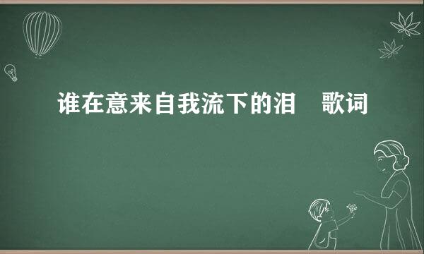 谁在意来自我流下的泪 歌词