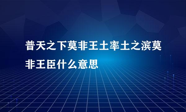 普天之下莫非王土率土之滨莫非王臣什么意思