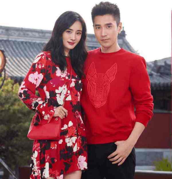 杨幂和刘恺威为何来自总被离婚?