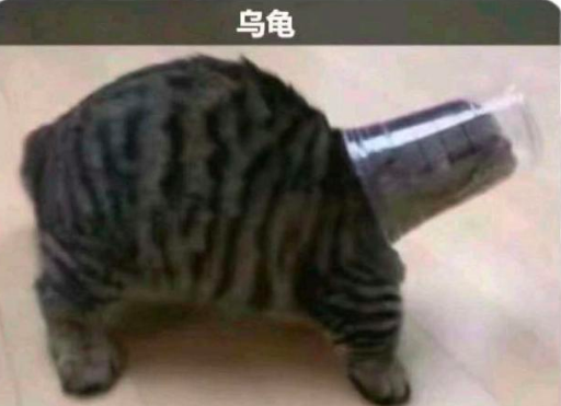 电子宠物是什么梗?