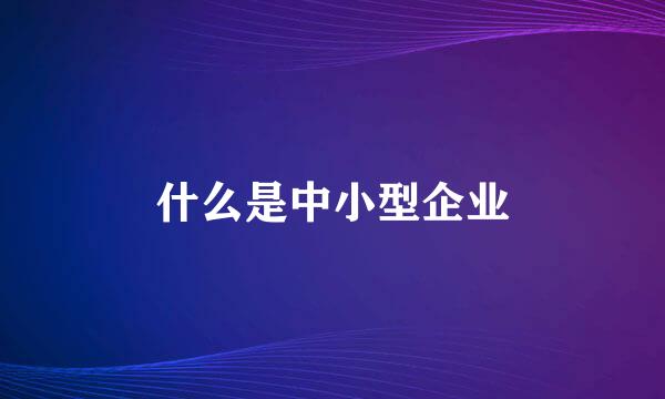 什么是中小型企业