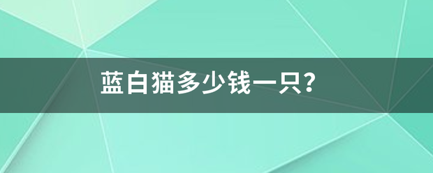 蓝白猫多少钱一只？