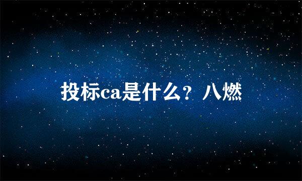 投标ca是什么？八燃