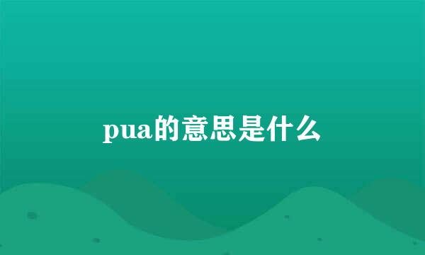 pua的意思是什么