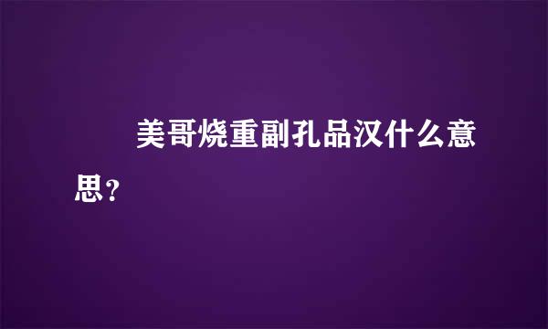 嘦姕美哥烧重副孔品汉什么意思？