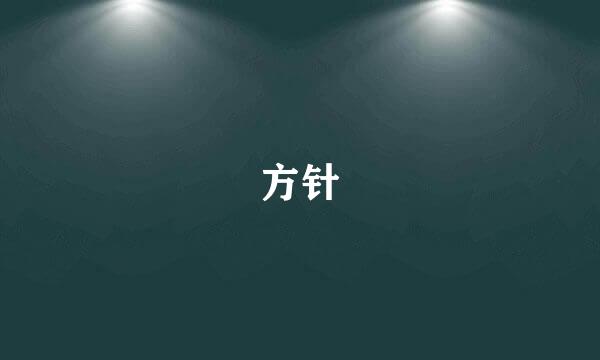 方针