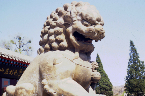 古代宫殿大门前成对的石狮,一般是雌还是雄?