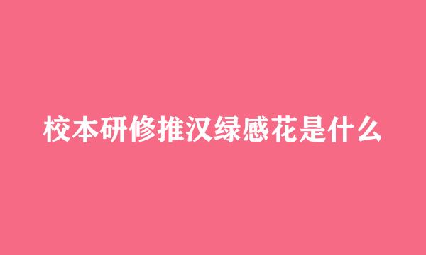 校本研修推汉绿感花是什么