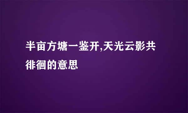 半亩方塘一鉴开,天光云影共徘徊的意思