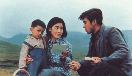 《牧马人》许灵均和秀芝的结局是什么？